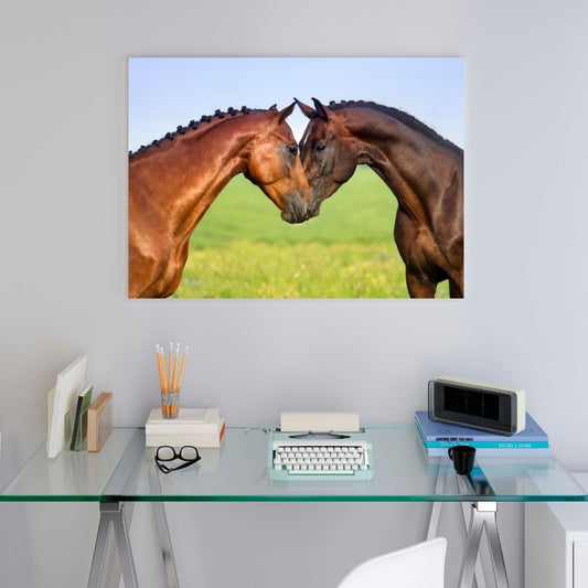 Poster Cheval Câlin