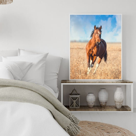 Poster Cheval à la campagne