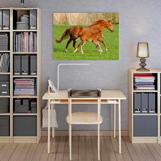 Poster cheval et poulain