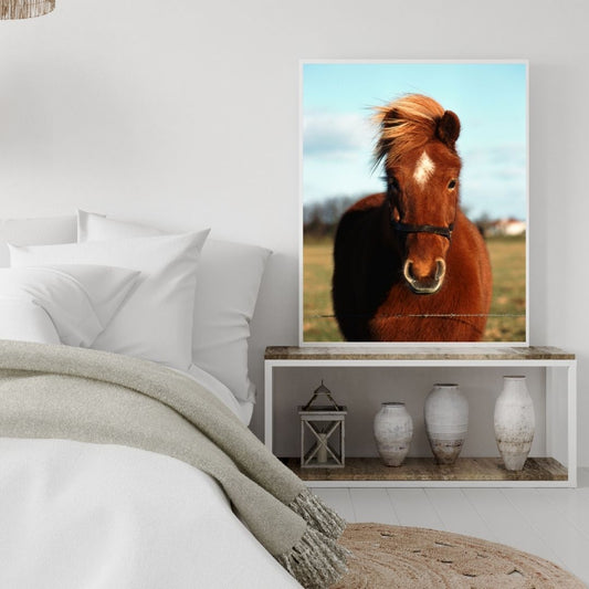Poster poney chambre