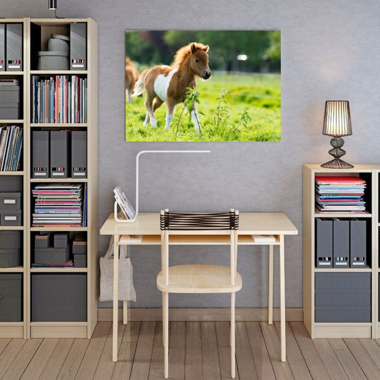 Poster poulain bureau