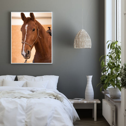 Poster tete de cheval chambre