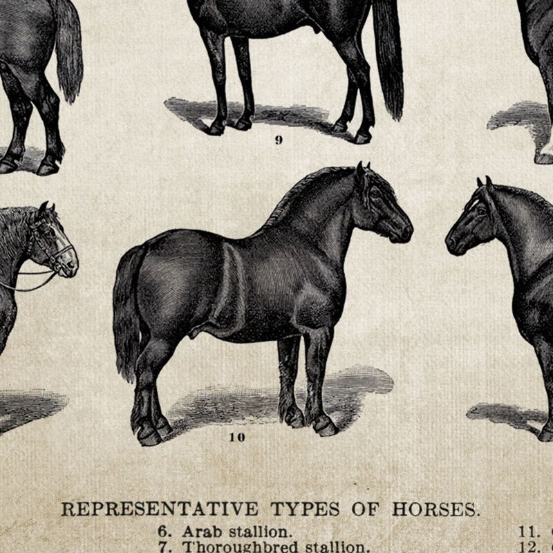 Tableau Race de Chevaux