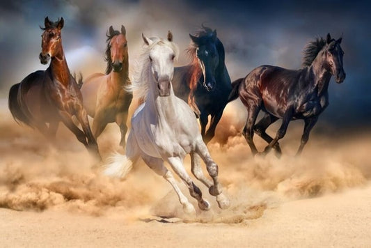 Tableau de Sable Cheval