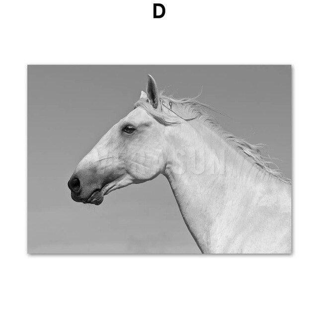 Tableau Tête de Cheval