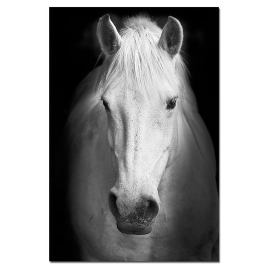 Peinture Cheval noir et blanc