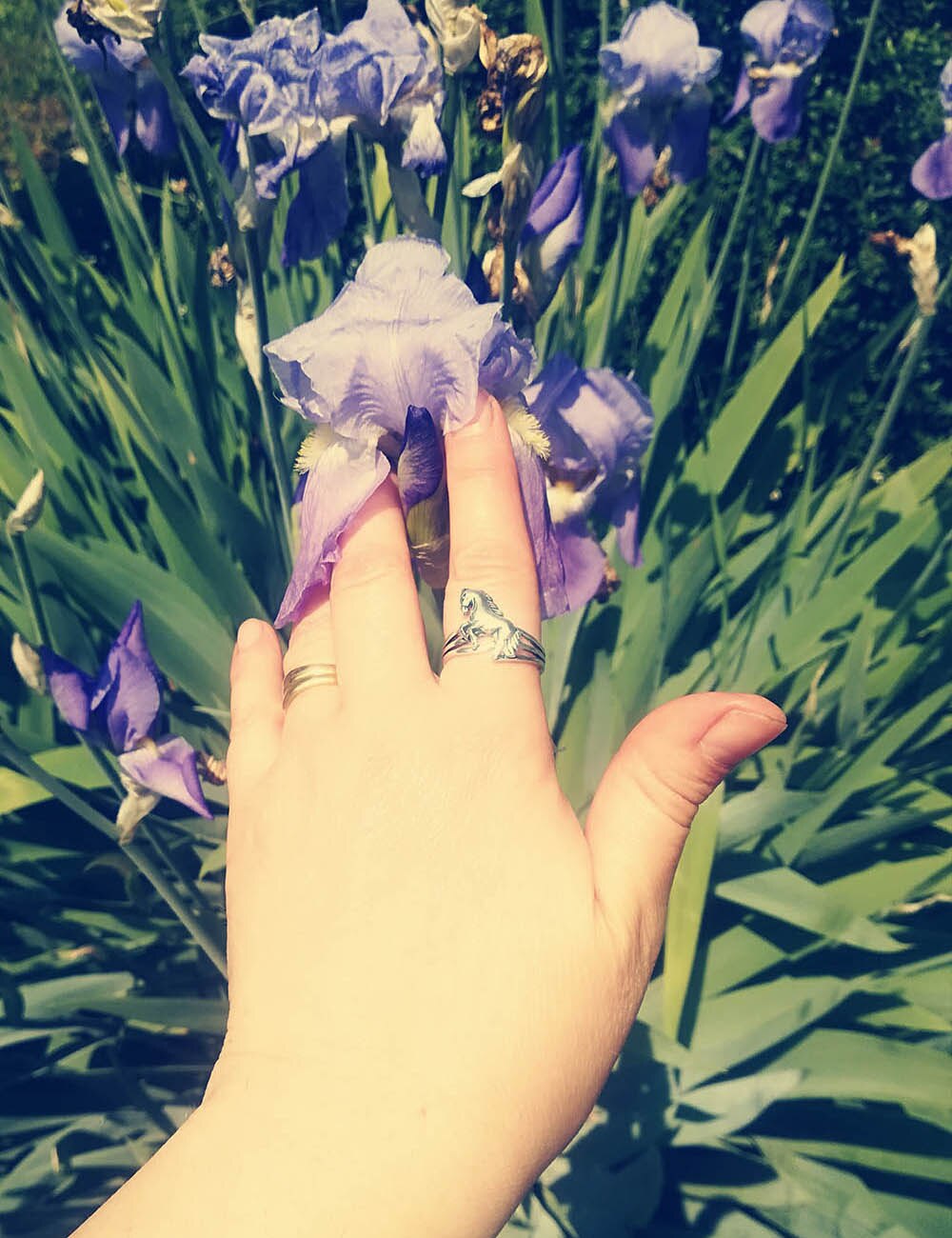 Bague Cheval <br> Femme