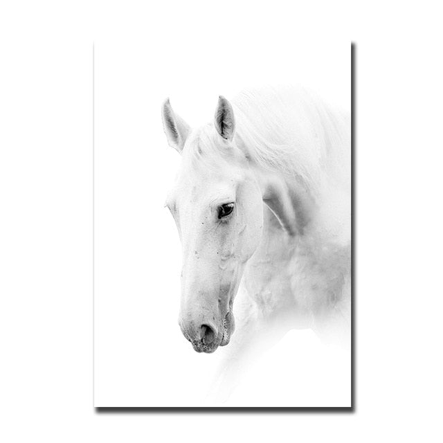 Tableau Cheval Blanc
