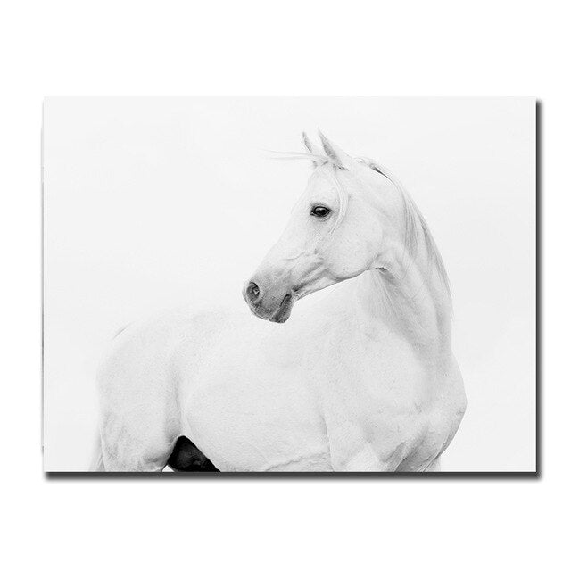 Tableau Cheval Blanc
