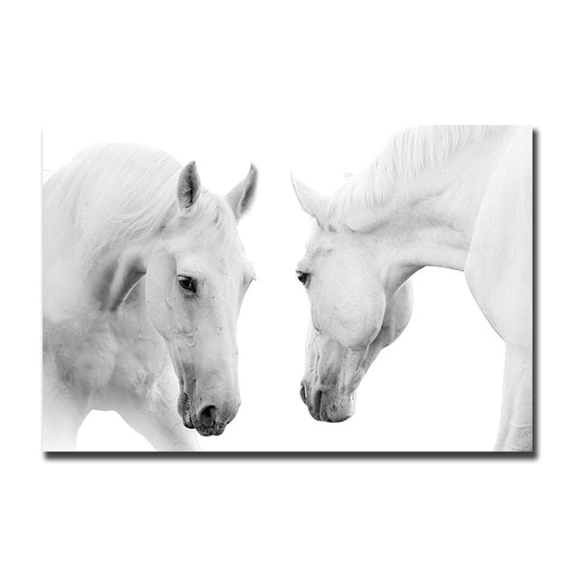 Tableau Cheval Blanc