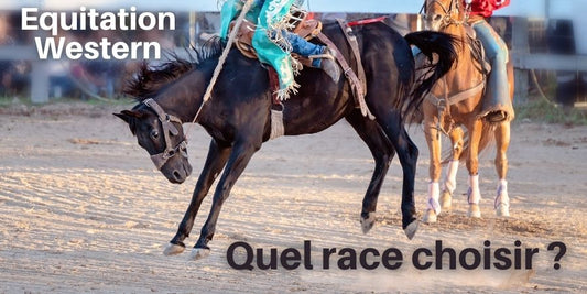 Cheval Western