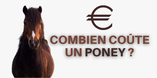 Combien coûte un poney
