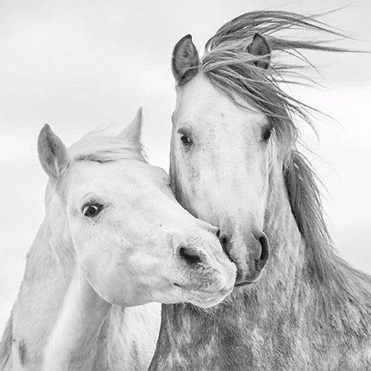 Papier peint chevaux dessinés