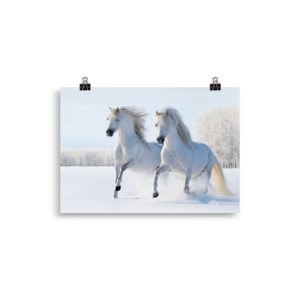 Affiche cheval neige