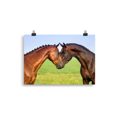 Poster Cheval Câlin
