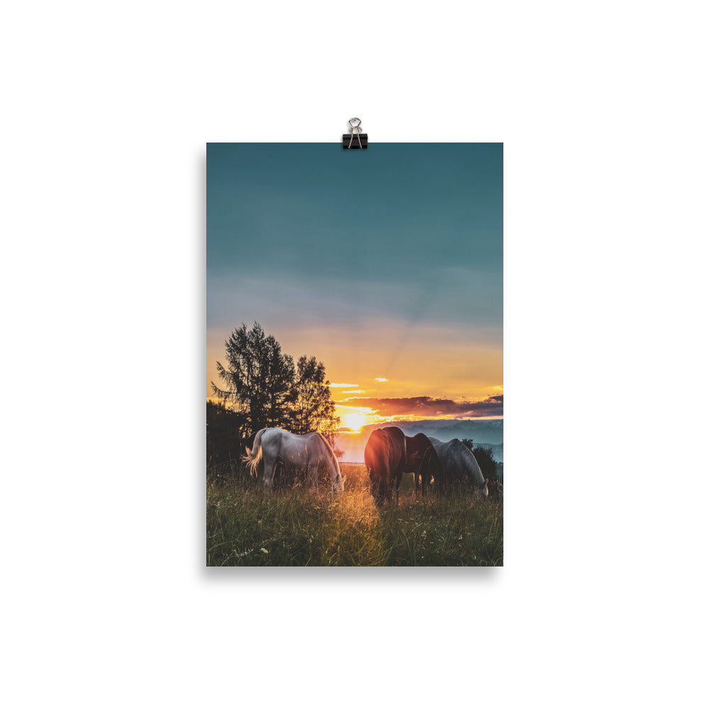 Poster Cheval Couché de Soleil