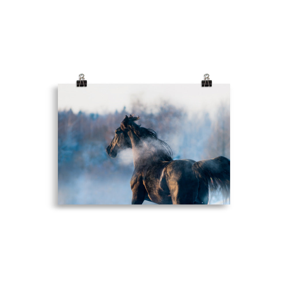 Poster Cheval Noir dans la Brume