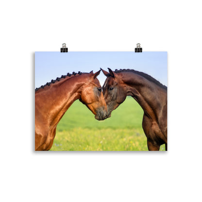 Poster Cheval Câlin