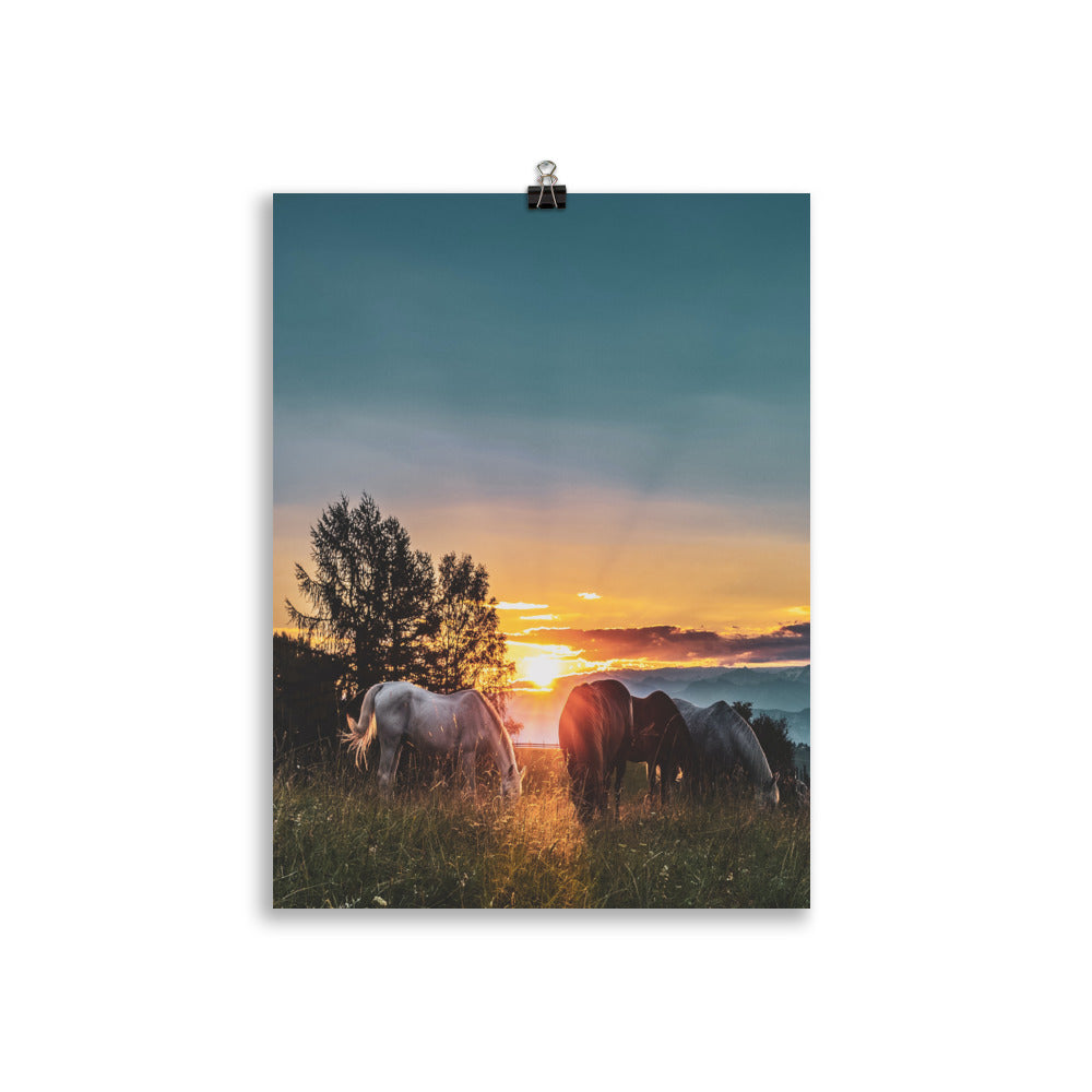 Poster Cheval Couché de Soleil