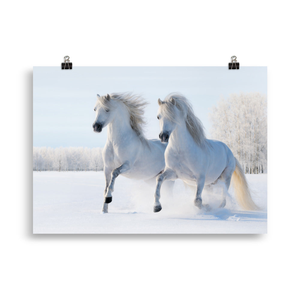 Poster cheval neige