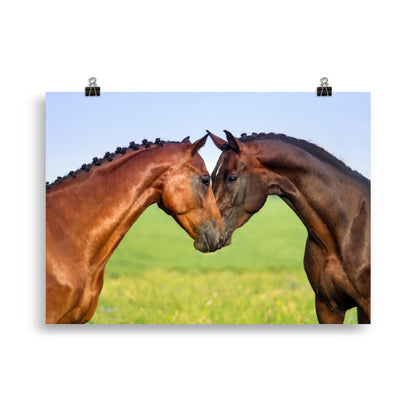 Poster Cheval Câlin