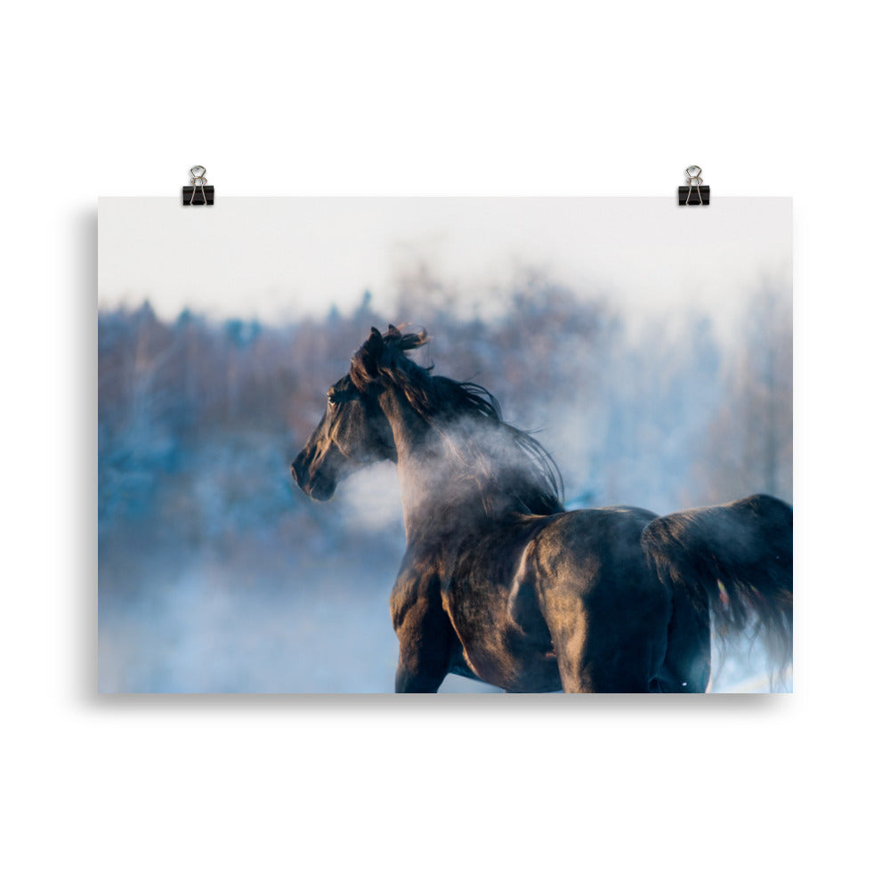 Poster Cheval Noir dans la Brume