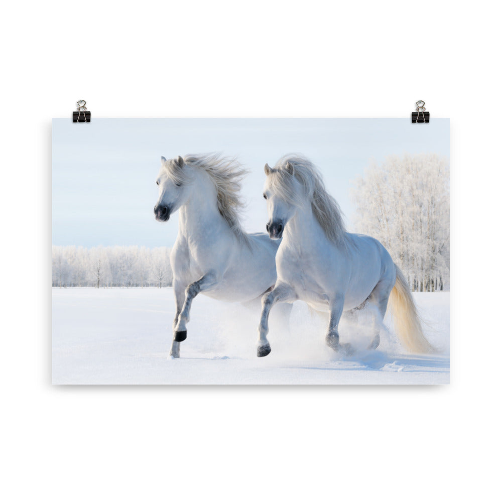 Poster cheval neige