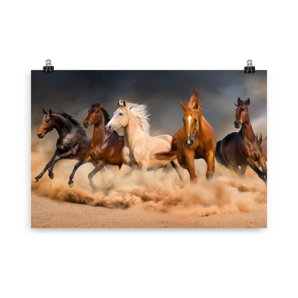 Poster Cheval Tempête de Sable