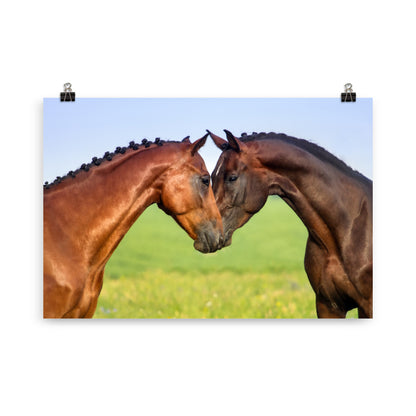 Poster Cheval Câlin