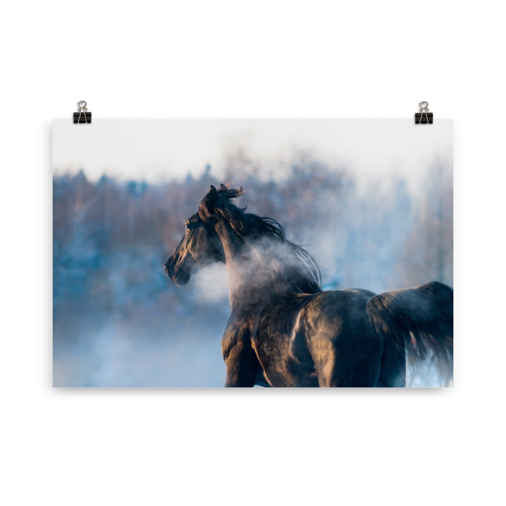 Poster Cheval Noir dans la Brume