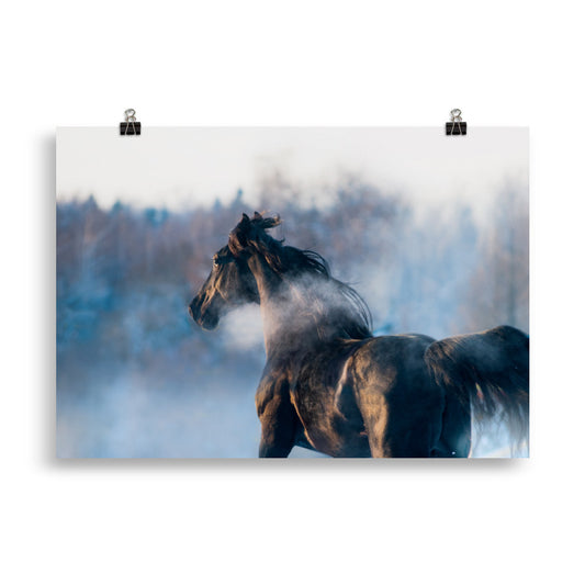 Poster Cheval Noir dans la Brume