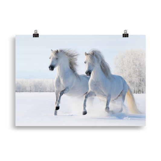 Poster cheval neige