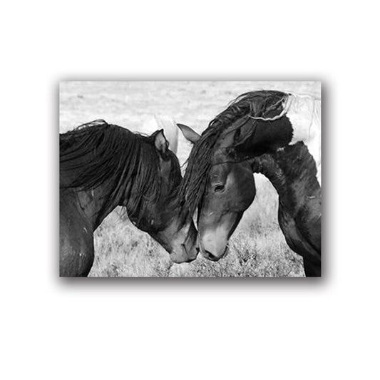 Tableau Cheval <br> Amour en Noir et Blanc