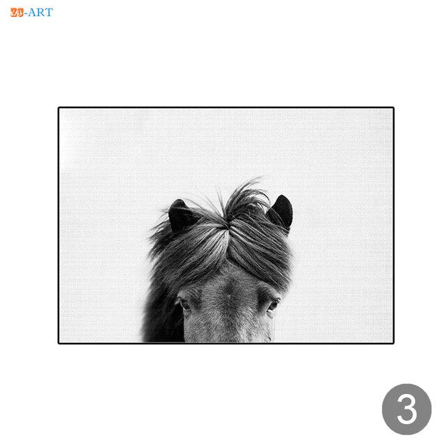 Tableau Cheval <br> Tête de Cheval Noir et Blanc