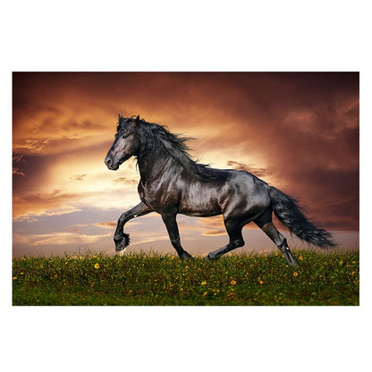 Tableau Cheval <br> Frison