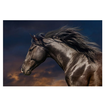 Tableau Cheval <br> Frison