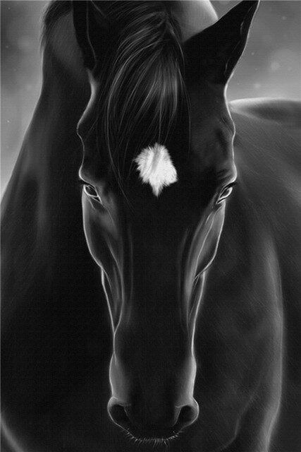 Tableau Cheval Ensemble Noir et Blanc