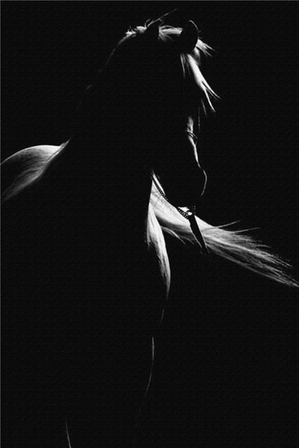 Tableau Cheval Ensemble Noir et Blanc