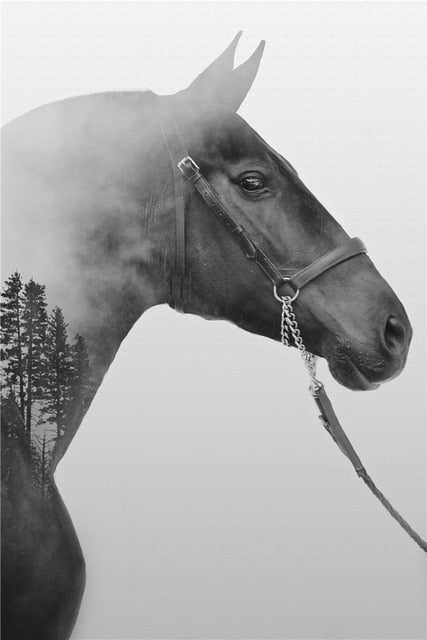 Tableau Cheval Ensemble Noir et Blanc