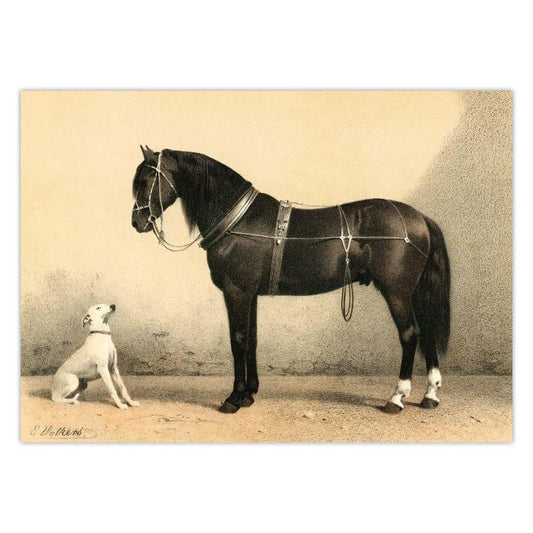 Tableau Cheval Vintage