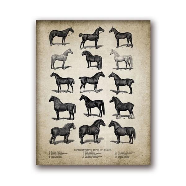 tableau race chevaux liste