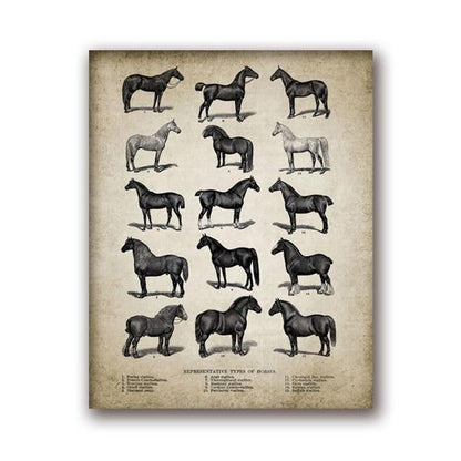 tableau race chevaux liste