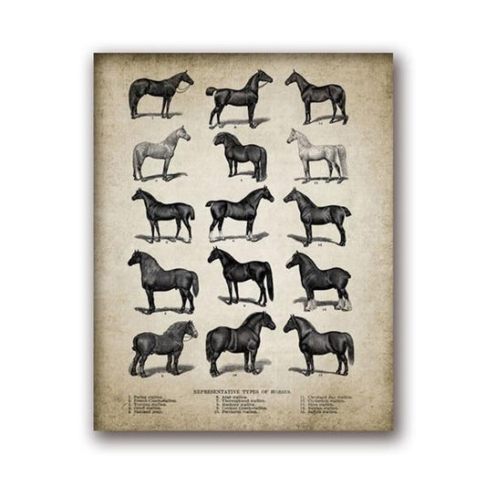 tableau race chevaux liste